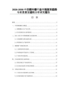 2026-2030中國鋼格柵行業市場發展趨勢與前景展望戰略分析研究報告