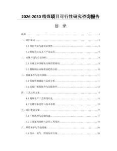 2026-2030精煤項目可行性研究咨詢報告