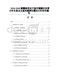 2026-2030樹籬修剪機(jī)行業(yè)市場(chǎng)現(xiàn)狀供需分析及重點(diǎn)企業(yè)投資評(píng)估規(guī)劃分析研究報(bào)告