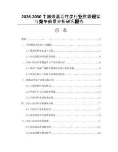 2026-2030中國煤基活性炭行業(yè)供需現(xiàn)狀與競爭前景分析研究報告
