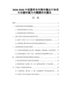 2026-2030中國瀝青改性劑市場運行格局與投資研發方向預測研究報告