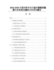 2026-2030中國四根手杖行業市場發展趨勢與前景展望戰略分析研究報告