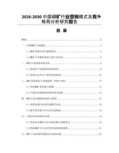 2026-2030中國硼礦行業(yè)營銷模式及競爭格局分析研究報告