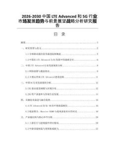 2026-2030中國LTE Advanced和5G行業(yè)市場發(fā)展趨勢與前景展望戰(zhàn)略分析研究報告