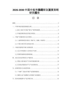 2026-2030中國中板市場調研及發展策略研究報告