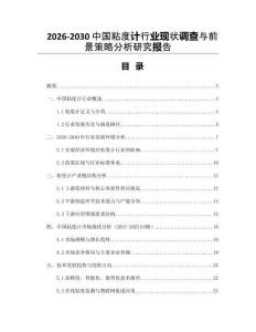 2026-2030中國粘度計行業現狀調查與前景策略分析研究報告