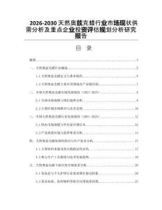 2026-2030天然奧茲克蠟行業(yè)市場現(xiàn)狀供需分析及重點企業(yè)投資評估規(guī)劃分析研究報告