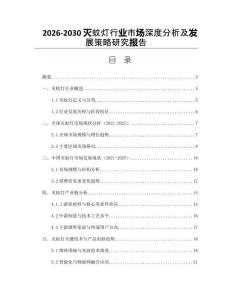 2026-2030滅蚊燈行業(yè)市場深度分析及發(fā)展策略研究報(bào)告