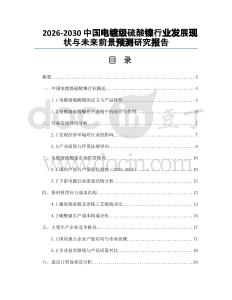 2026-2030中國(guó)電鍍級(jí)硫酸鎳行業(yè)發(fā)展現(xiàn)狀與未來(lái)前景預(yù)測(cè)研究報(bào)告