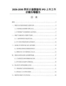 2026-2030果膠企業(yè)創(chuàng)業(yè)板IPO上市工作咨詢指導(dǎo)報(bào)告