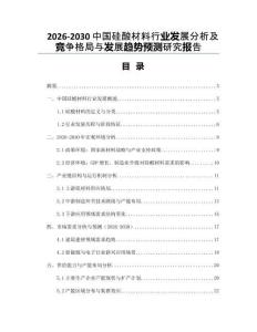 2026-2030中國(guó)硅酸材料行業(yè)發(fā)展分析及競(jìng)爭(zhēng)格局與發(fā)展趨勢(shì)預(yù)測(cè)研究報(bào)告