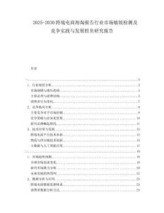2025-2030跨境電商海淘報告行業(yè)市場敏銳檢測及競爭實踐與發(fā)展勝負研究報告