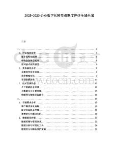 2025-2030企業數字化轉型成熟度評估全域全域