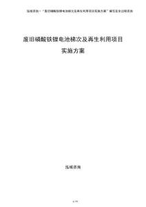 廢舊磷酸鐵鋰電池梯次及再生利用項目實施方案