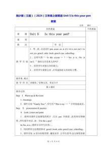 湘少版（三起）（2024）三年級上冊英語Unit 5 Is this your pen教案