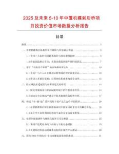 2025及未來5-10年中置機碟剎后橋項目投資價值市場數(shù)據(jù)分析報告