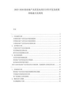 2025-2030商業(yè)地產(chǎn)光伏發(fā)電項目合作開發(fā)及政策補(bǔ)貼最大化利用