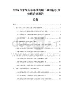 2025及未來5年手動專用工具項目投資價值分析報告