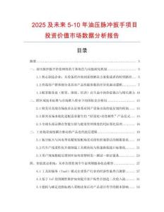 2025及未來5-10年油壓脈沖扳手項目投資價值市場數(shù)據(jù)分析報告