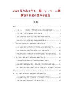 2025及未來5年５—氯—２，４—二磺酰項(xiàng)目投資價(jià)值分析報(bào)告