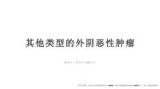 其他類型的外陰惡性腫瘤