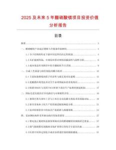 2025及未來5年醋硝酸鎂項目投資價值分析報告