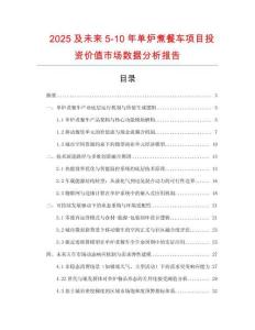 2025及未來5-10年單爐煮餐車項目投資價值市場數據分析報告