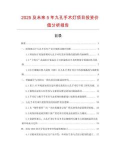 2025及未來5年九孔手術燈項目投資價值分析報告