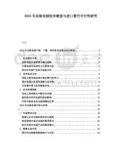 2025專業級電刨技術壁壘與進口替代可行性研究