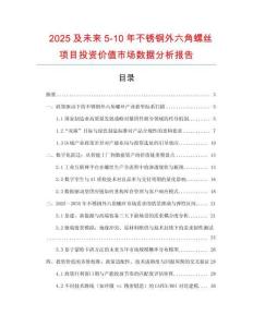 2025及未來5-10年不銹鋼外六角螺絲項目投資價值市場數據分析報告