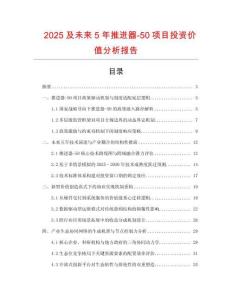 2025及未來5年推進器-50項目投資價值分析報告