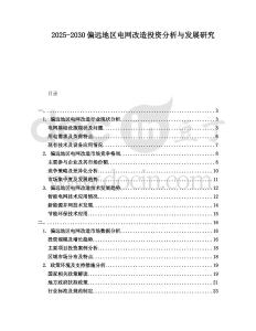 2025-2030偏遠(yuǎn)地區(qū)電網(wǎng)改造投資分析與發(fā)展研究