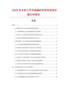 2025及未來(lái)5年羊絨編織衫項(xiàng)目投資價(jià)值分析報(bào)告
