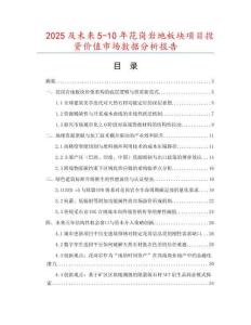 2025及未來5-10年花崗巖地板塊項目投資價值市場數據分析報告
