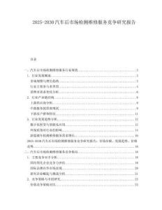 2025-2030汽車后市場檢測維修服務競爭研究報告