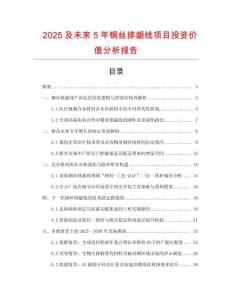 2025及未來5年銅絲排齦線項目投資價值分析報告