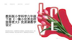 教科版小學科學六年級下冊《一微小世界怎樣放得更大》優質課教學設計