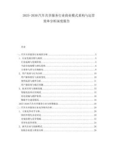 2025-2030汽車共享服務(wù)行業(yè)商業(yè)模式重構(gòu)與運營效率分析深度報告