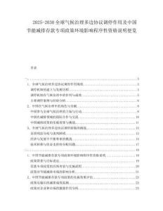 2025-2030全球氣候治理多邊協議調停作用及中國節能減排存款專項政策環境影響程序性資格說明便覽