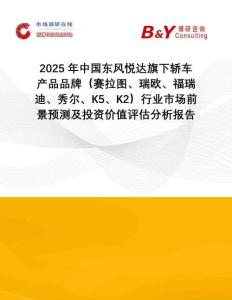 2025年中國東風(fēng)悅達旗下轎車產(chǎn)品品牌（賽拉圖、瑞歐、福瑞迪、秀爾、K5、K2）行業(yè)市場前景預(yù)測及投資價值評估分析報告