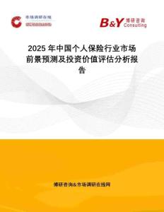 2025年中國個人保險行業市場前景預測及投資價值評估分析報告