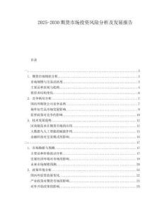 2025-2030期貨市場投資風險分析及發展報告