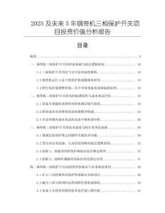 2025及未來5年鋼帶機三相保護開關項目投資價值分析報告