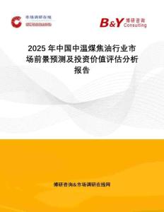 2025年中國中溫煤焦油行業市場前景預測及投資價值評估分析報告
