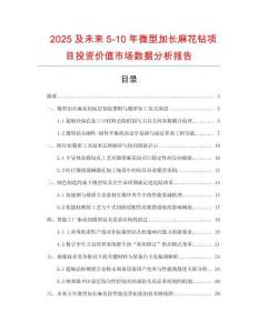 2025及未來(lái)5-10年微型加長(zhǎng)麻花鉆項(xiàng)目投資價(jià)值市場(chǎng)數(shù)據(jù)分析報(bào)告
