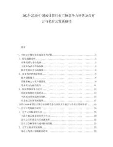 2025-2030中國云計算行業市場競爭力評估及公有云與私有云發展路徑