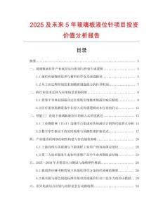 2025及未來(lái)5年玻璃板液位針項(xiàng)目投資價(jià)值分析報(bào)告