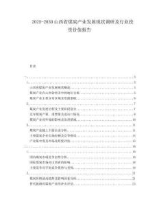2025-2030山西省煤炭產業發展現狀調研及行業投資價值報告