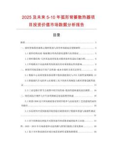2025及未來5-10年弧形背簍散熱器項(xiàng)目投資價(jià)值市場數(shù)據(jù)分析報(bào)告