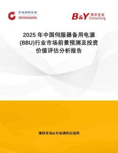 2025年中國(guó)伺服器備用電源(BBU)行業(yè)市場(chǎng)前景預(yù)測(cè)及投資價(jià)值評(píng)估分析報(bào)告